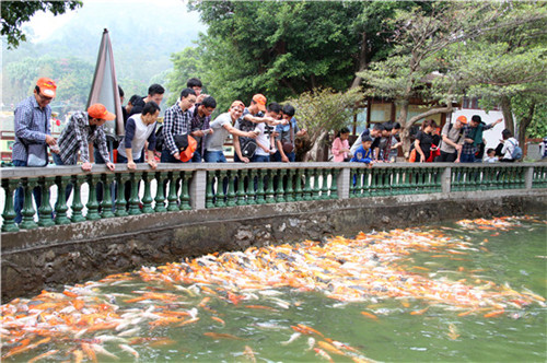 7790必发集团(中国)有限公司-搜狗百科